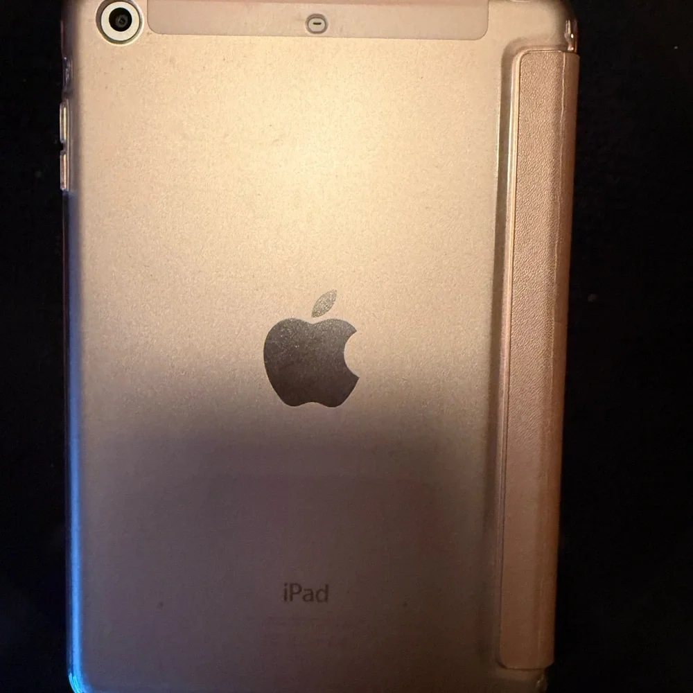 iPad Mini 3 with case included (16GB)